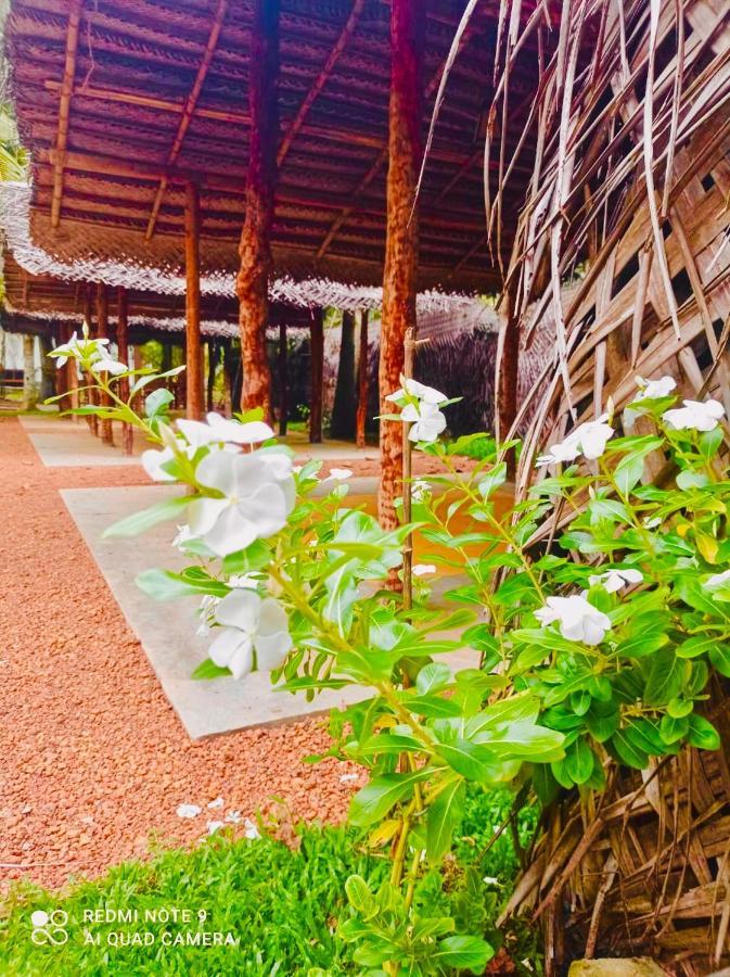 Manel Villa Bentota Esterno foto