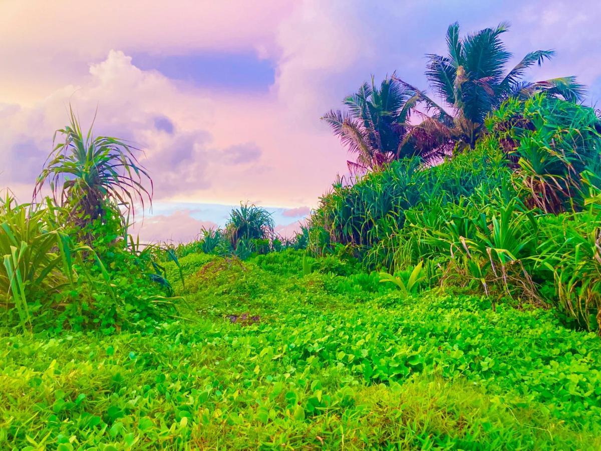 Manel Villa Bentota Esterno foto